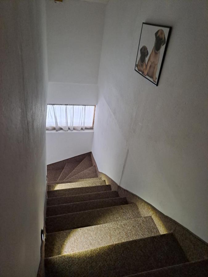 Apartmán Sofi Ni Exteriér fotografie